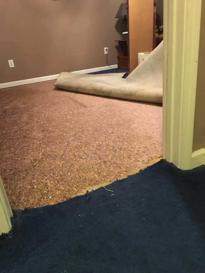 Carpet pad removal revealing water damage during Water Mitigation Services in Altoona
